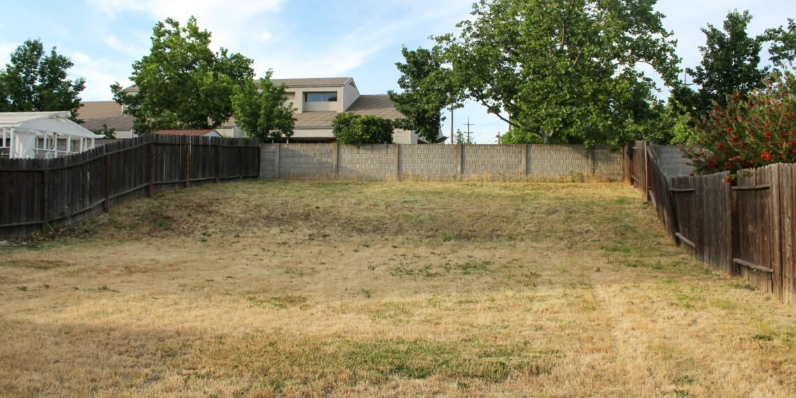 Why Your Lawn Dies Every Summer