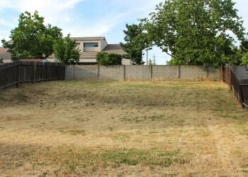 Why Your Lawn Dies Every Summer